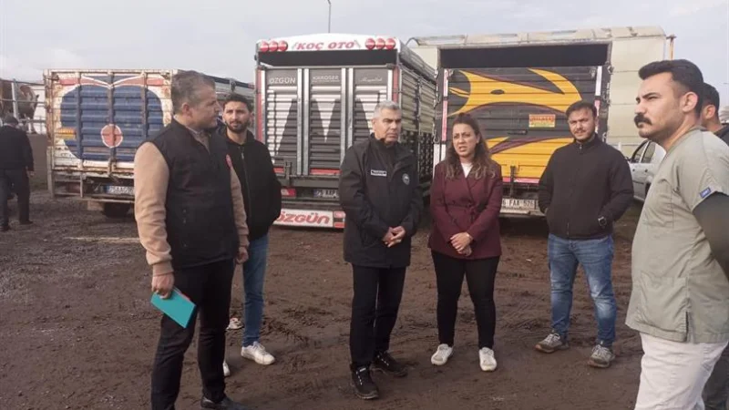 Ardahan'da Hayvan Pazarlarında Sıkı Denetim: Sağlık ve Mevzuat Kontrolü
