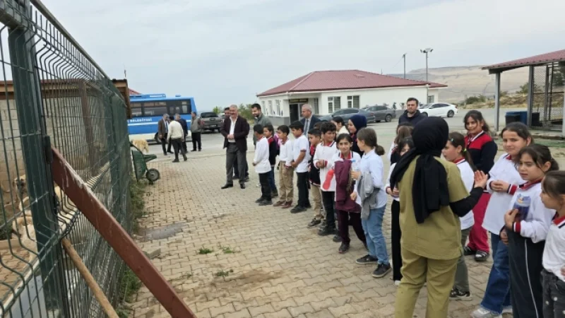Güroymak'ta Öğrenciler 4 Ekim'de Hayvan Bakımevini Ziyaret Etti