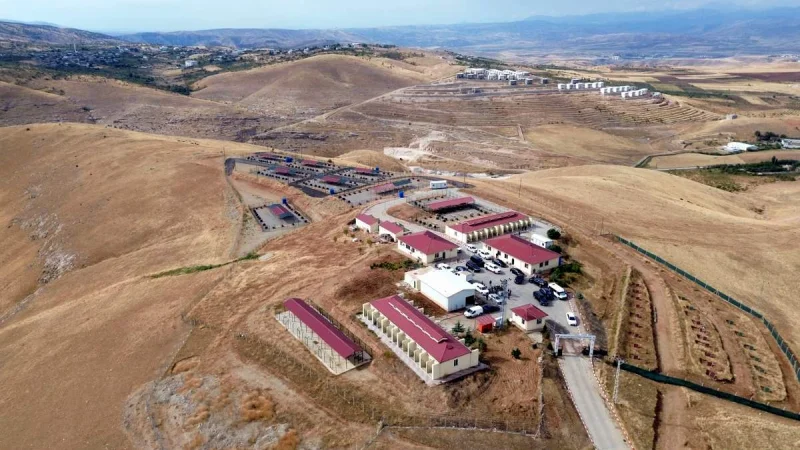 Siirt'te Sokak Hayvanları ve Sıfır Atık Projesi İncelemesi
