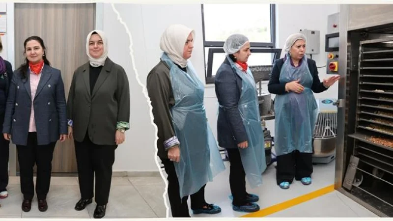 Düzce'de Geleneksel 'Tirmis' Ürünü İleri Teknolojiyle Katma Değer Kazanıyor