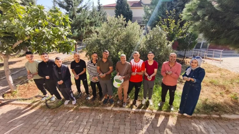Kilis'te Engelsiz Yaşam Merkezi Sakinleri Zeytin Hasadı Yaptı