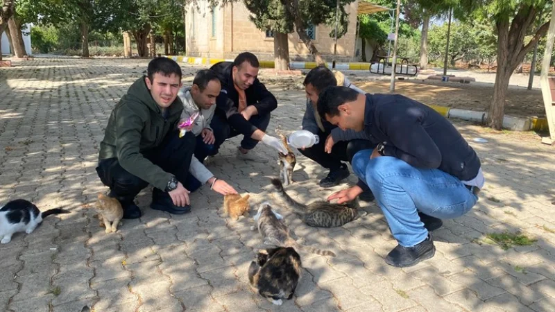 Kilis'te Engelsiz Yaşam Merkezi Sakinlerinden Hayvanları Koruma Günü'ne Özel Etkinlik