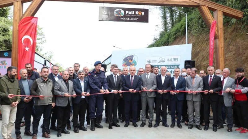 Ordu'da Sokak Hayvanları İçin Yeni Yaşam Alanı: Patiköy Hizmete Girdi