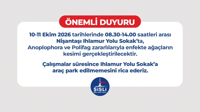 Şişli Nişantaşı'nda Zararlı Böceklerle Mücadele Kapsamında Ağaç Kesimi Yapılacak