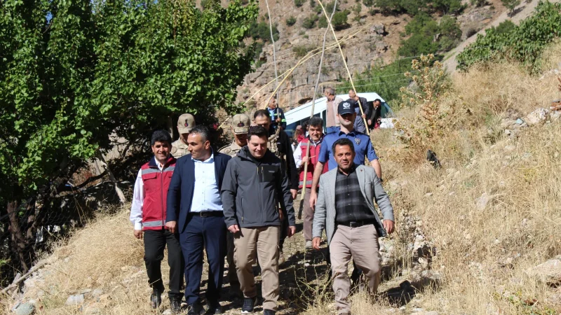 Van Çatak'ta Ceviz Hasadı Başladı: Kaymakam Sarı Üreticileri Ziyaret Etti