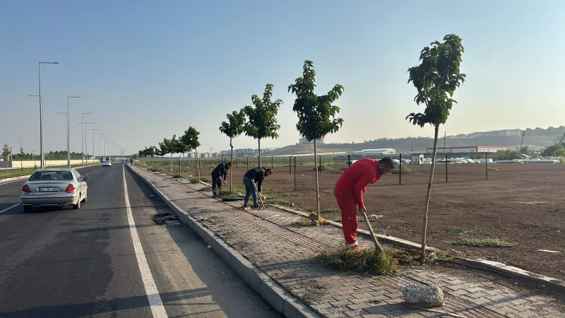 Batman'da Yeşil Alanlar İçin Kapsamlı Bakım Çalışması Başlatıldı