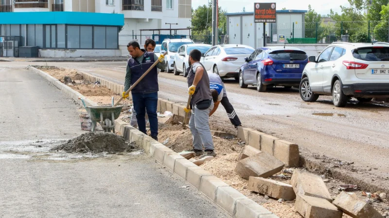 Diyarbakır Yenişehir'de Üçkuyular Mahallesi'nde Refüj Onarımı ve Çevre Düzenlemesi