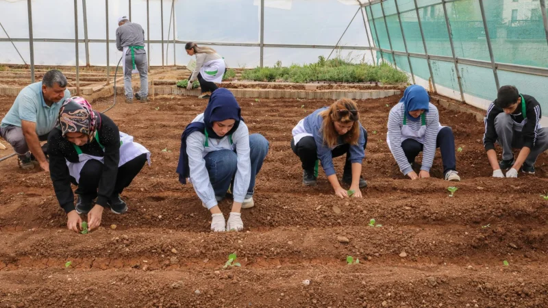 Diyarbakır'da Üniversiteliler ve Kadınlar Nev Bahçe'de Fide Dikti