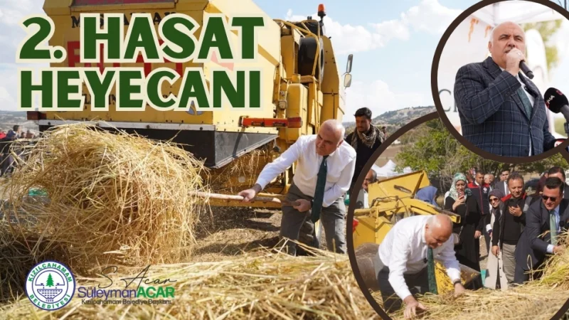Kızılcahamam'da Çeltikçi Pirinci İkinci Hasadı Gerçekleştirildi