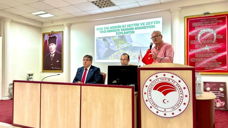 Mersin'de 2026 Zeytin ve Zeytinyağı Rekolte Tahmin Çalışmaları Tamamlandı