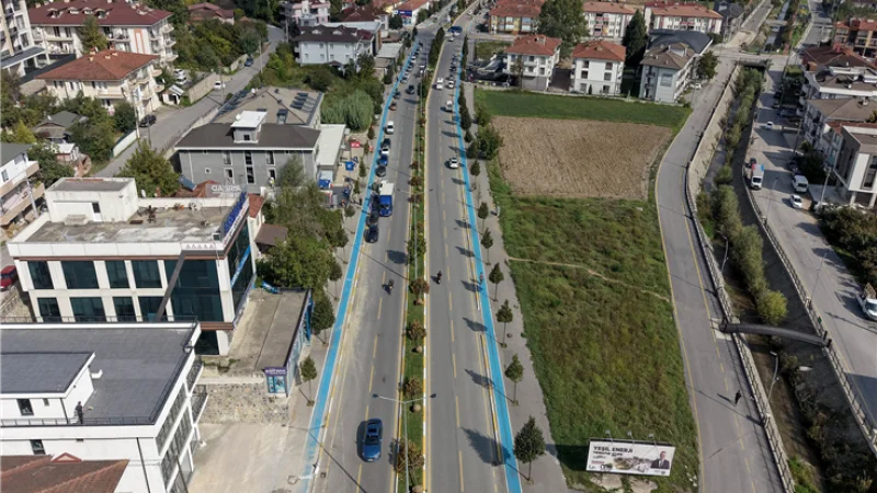 Sakarya Raylı Sistem Projesi'nde ilk hazırlık: Ağaçlar taşınıyor
