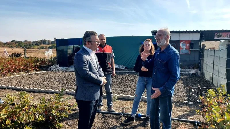 Savaştepe'de Aronya Hasadı Gerçekleştirildi