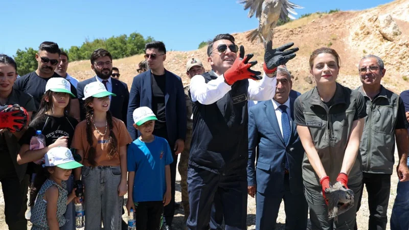 Tunceli'nin Mazgirt İlçesinde 500 Kınalı Keklik Doğaya Salındı