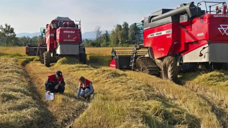 Düzce'de Hasat Dönemi Denetimleri: Dane Kayıpları Önleniyor