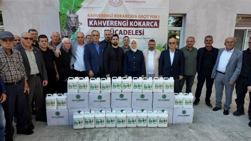 Düzce'de Kahverengi Kokarca ile Mücadele: Muhtarlara İlaç Desteği