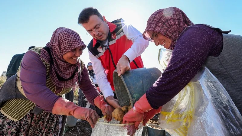 Niğde'de Yerli ve Milli Patates Hasadı Başladı