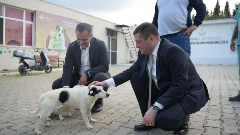Torbalı Belediyesi'nden Sokak Hayvanları İçin Kapsamlı Hizmet Seferberliği