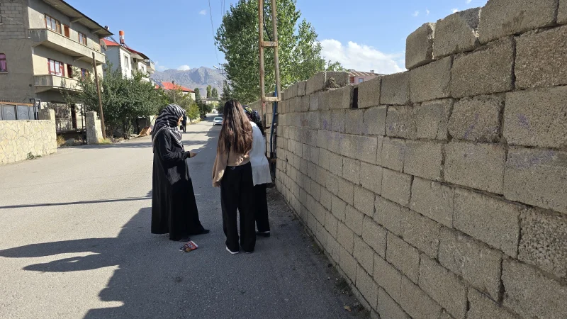 Tuşba'da Kadın Dayanışması Sahada: Akköprü Mahallesi'nde Kapı Kapı Bilgilendirme