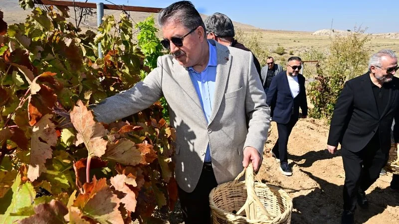 Eskişehir Günyüzü'nde Bağbozumu Heyecanı: Geleneksel Üzüm Hasadı Yapıldı