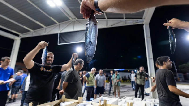 İzmir Balık Hali'nde Sezonun İlk Ayında İşlem Hacmi 9 Bin Tonu Aştı