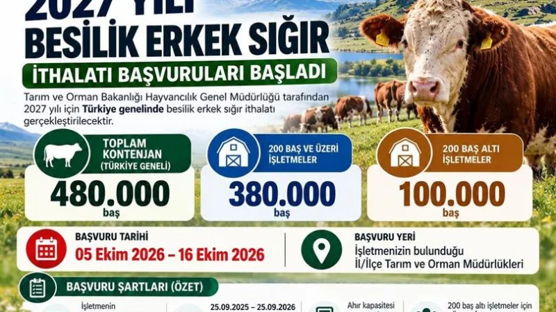 Ardahan'da Besilik Erkek Sığır İthalatı İçin Başvuru Süreci Başladı