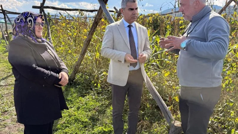 Ardahan'da Yerel Üretim İncelemesi: Posof Fasulyesi ve Safran Hasadı