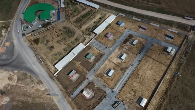 Bandırma Belediyesi Hayvan Barınağı'nda Yaşam Alanları Yenileniyor