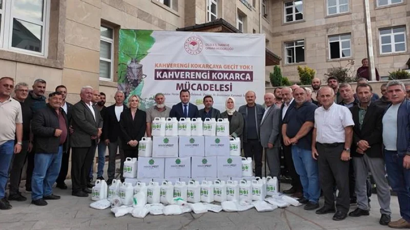 Düzce'de Kahverengi Kokarca ile Mücadele İçin Seferberlik: Muhtarlara İlaç Desteği