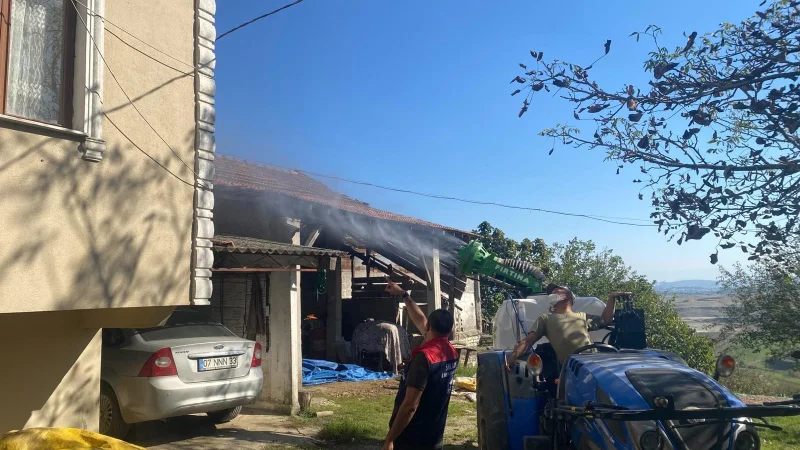 Ferizli'de Kahverengi Kokarcaya Karşı Eş Zamanlı İlaçlama Çalışması