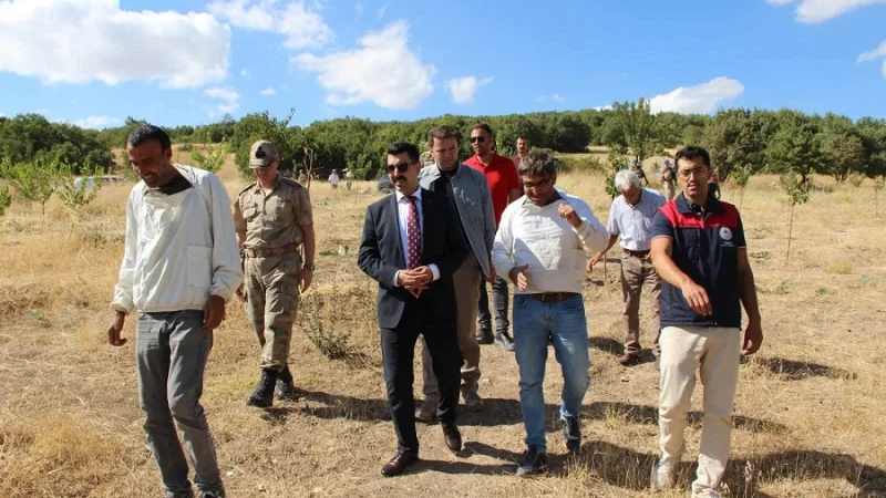 Mazgirt'te Bal Üreticilerine Ziyaret: Çalışmalar Yerinde İncelendi