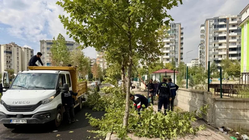 Bağlar'da Ağaç Bakımı ve Budama Çalışmaları Gerçekleştirildi
