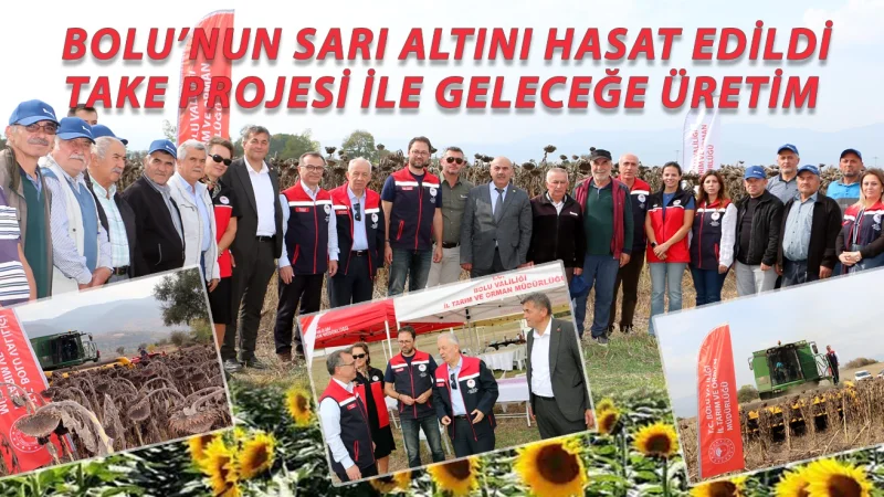 Bolu'da Atıl Araziler Ayçiçeği ile Değerlendi: Üretimde %700 Artış