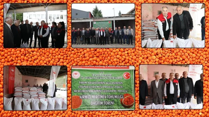 Elazığ'da Mercimek Üretimine Büyük Destek: 60,5 Ton Tohum Dağıtıldı