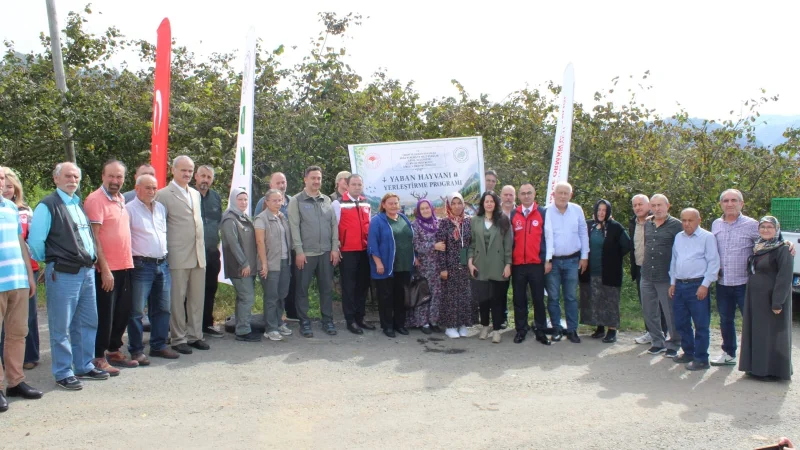Giresun'un Keşap İlçesinde Doğaya Sülün Salındı
