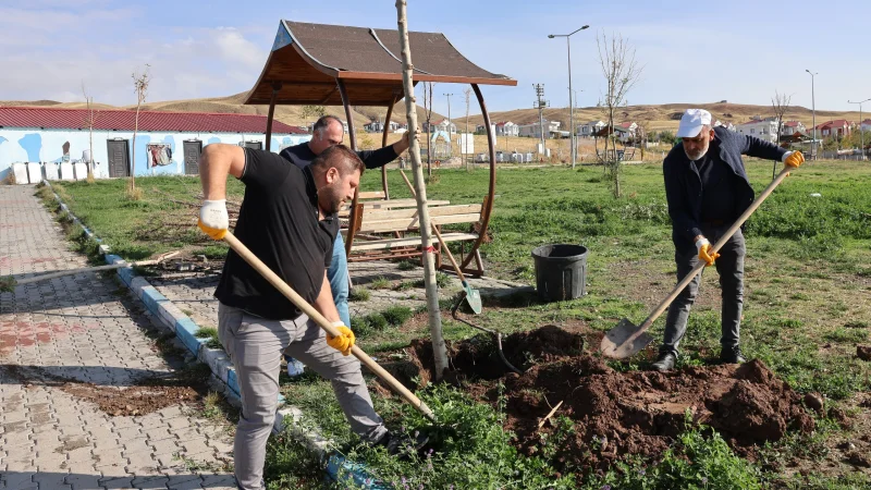 Van Tuşba'da Mavi Bayraklı Halk Plajı'nda Ağaçlandırma Çalışması
