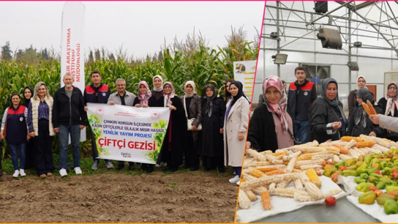 Çankırılı Kadın Çiftçiler Modern Mısır Üretim Tekniklerini Yerinde İnceledi