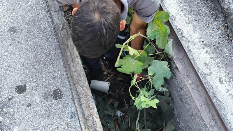 Kemer'de kış hazırlıkları kapsamında mazgal temizliği tamamlandı