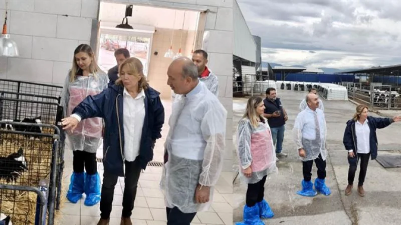 Balıkesir'de Hayvancılık İşletmelerine Yerinde İnceleme