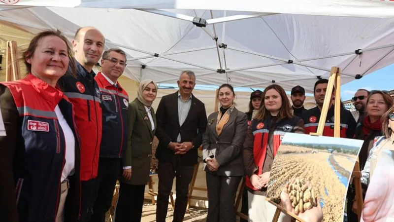 Edirne'de 'Sarı Altın' Hasadı: 3. Meriç Yer Fıstığı Şenliği Düzenlendi