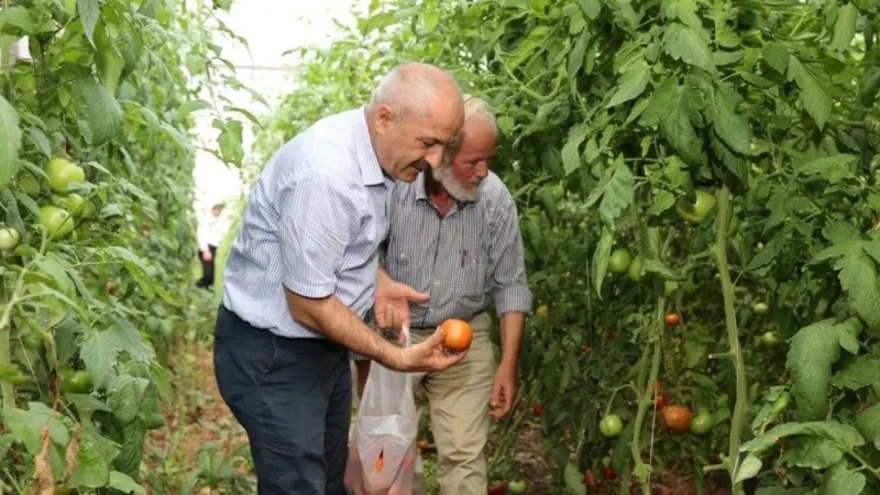 Gebze'de Kırsal Üretime ve Çiftçilere Yönelik Destekler Sürüyor