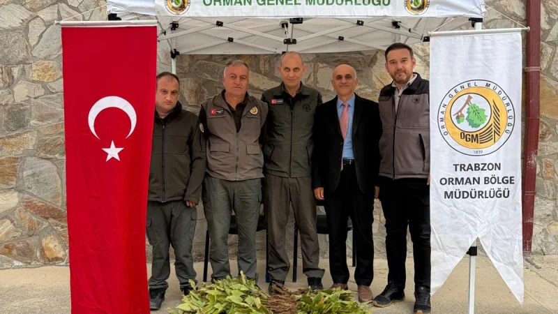 Rize Hemşin'de Kestane Varlığını Artırmak İçin Fidan Dağıtıldı