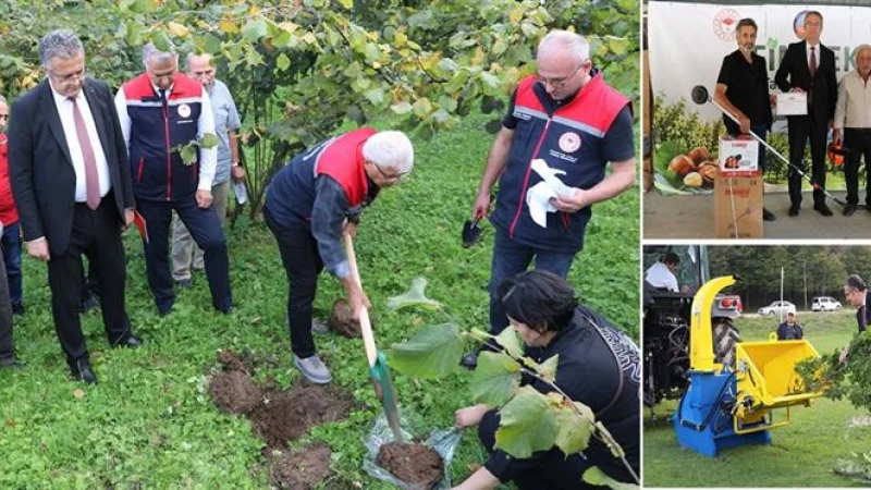 Samsun'da Fındık Üretiminde Verimi Artıracak 'FINDEK' Projesi Başlatıldı