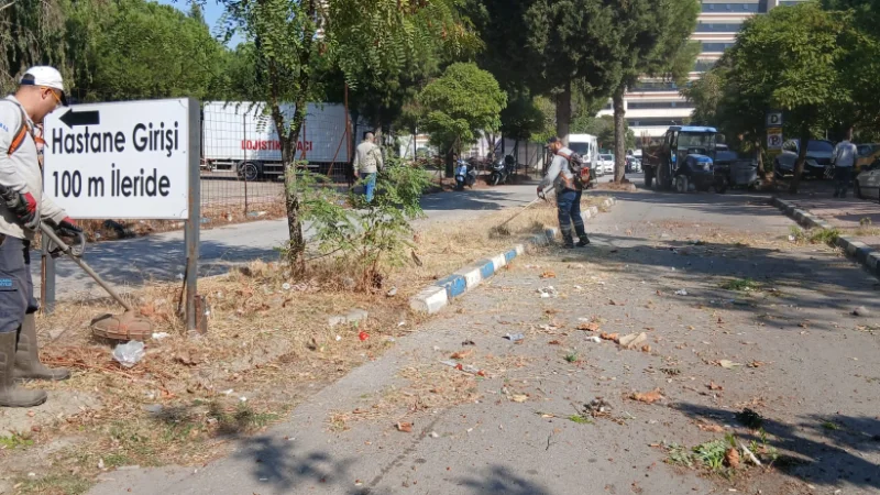 Yunusemre'de Park ve Yeşil Alanlarda Bakım Çalışmaları Sürüyor