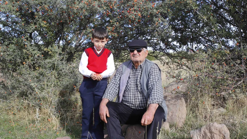 Aksaray'da Üç Kuşağı Buluşturan Alıç Geleneği: Aynı Ağacın Altında Anılar Canlanıyor