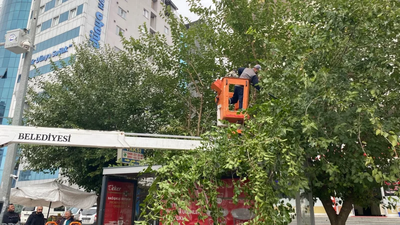 Batman'da Ağaçlar Kışa ve Yeni Sezona Hazırlanıyor