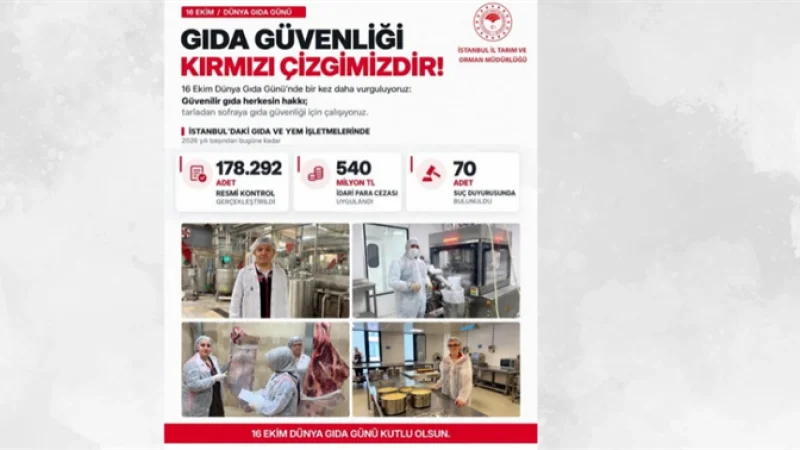 İstanbul'da Gıda Denetimleri Sürüyor: 540 Milyon TL İdari Para Cezası Kesildi
