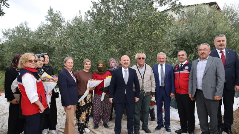 Nazilli'de Dünya Kadın Çiftçiler Günü Dolayısıyla Zeytin Hasadı Gerçekleştirildi