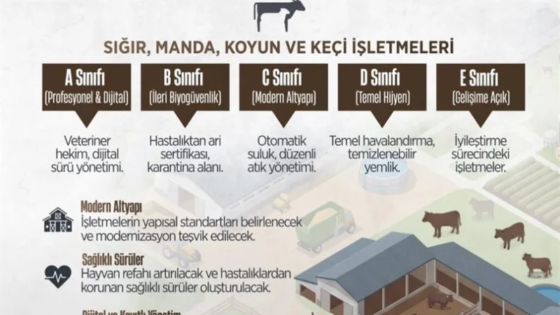 Ardahan'da Hayvancılık İşletmeleri İçin Yeni Sınıflandırma Dönemi
