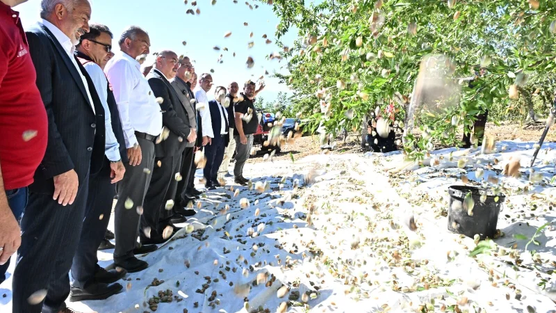 Denizli'de Badem Hasadı: Vali Köşger Üretimin Stratejik Önemine Dikkat Çekti