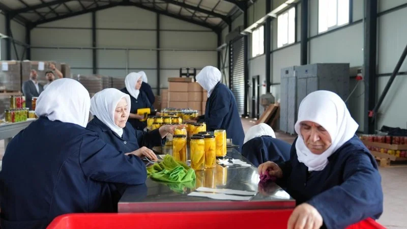 Gürsu Ovası'nda Kadın Emeğiyle Doğal Turşu Üretimi Başladı